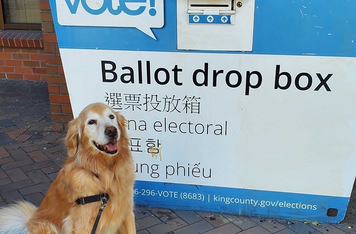 General Election Night 2024: Grab Your Anxiety Meds and the Vice of Your Choice, LFG!!!